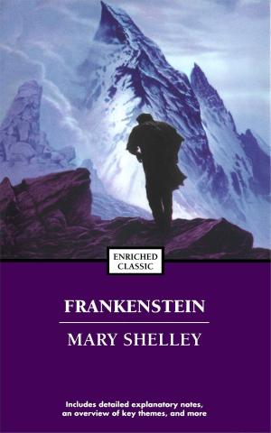 Cover of Frankenstein; or, The Modern Prometheus