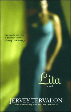 Cover of the book Lita by Douglas Coupland