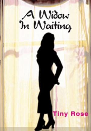 Cover of the book A Widow in Waiting by Joann Ellen Sisco