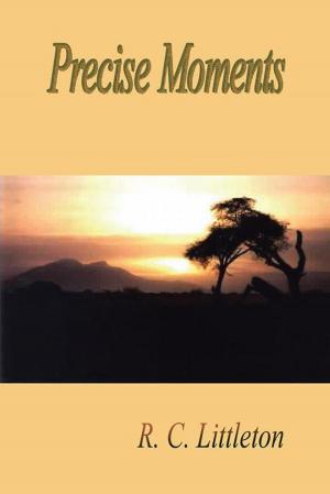 Cover of the book Precise Moments by Donald J. Richardson