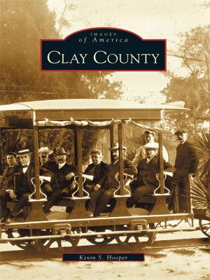 bigCover of the book Clay County by 