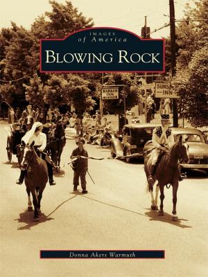 bigCover of the book Blowing Rock by 