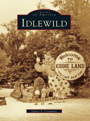 Cover of the book Idlewild by Pierre Zaccone