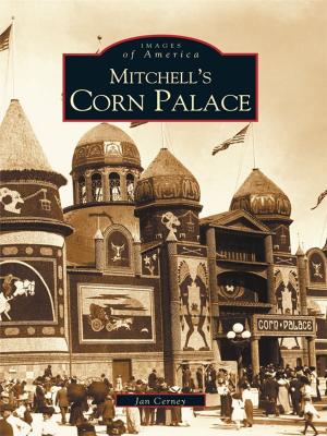 Cover of the book Mitchell's Corn Palace by Mark J. Roy