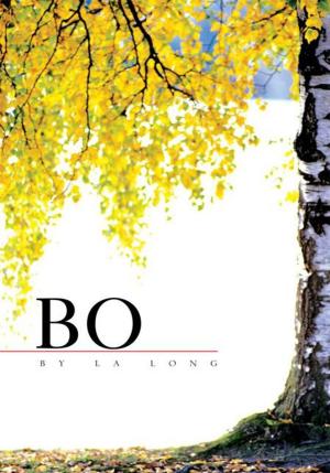 Cover of the book Bo by Marty Rose