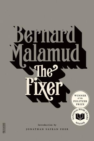 Cover of the book The Fixer by Greg Kotis, Mark Hollmann, David Auburn
