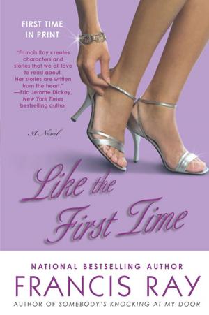 Cover of the book Like the First Time by Elisa Denk
