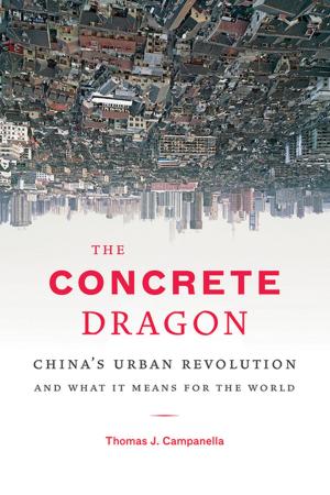 Cover of the book The Concrete Dragon by Barbara Levine, Paige Ramey