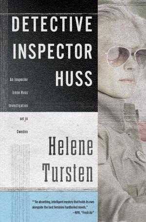 Book cover of Detective Inspector Huss