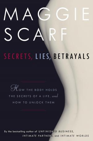Cover of the book Secrets, Lies, Betrayals by Anne Perry