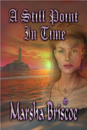 Cover of the book A Still Point In Time by Margaret Blake