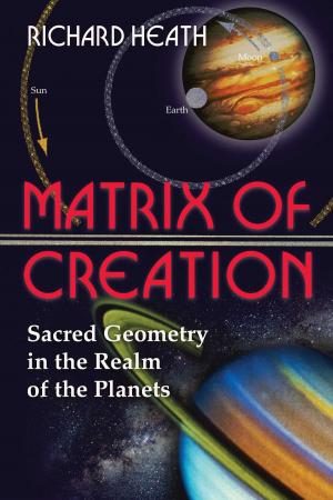 Cover of the book Matrix of Creation by Thomas Petersen