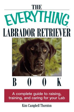 Cover of the book The Everything Labrador Retriever Book by Erika V Shearin Karres