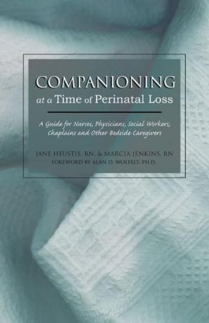 Book cover of Companioning at a Time of Perinatal Loss