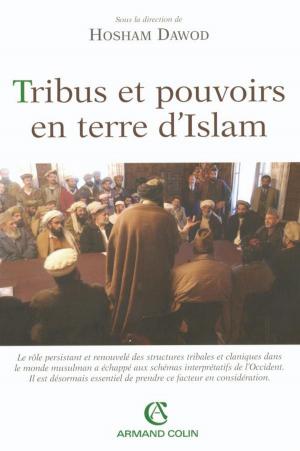Book cover of Tribus et pouvoirs en terre d'Islam