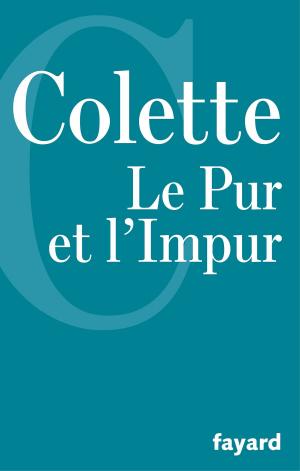 Cover of the book Le Pur et l'Impur by Erwan L'Éléouet