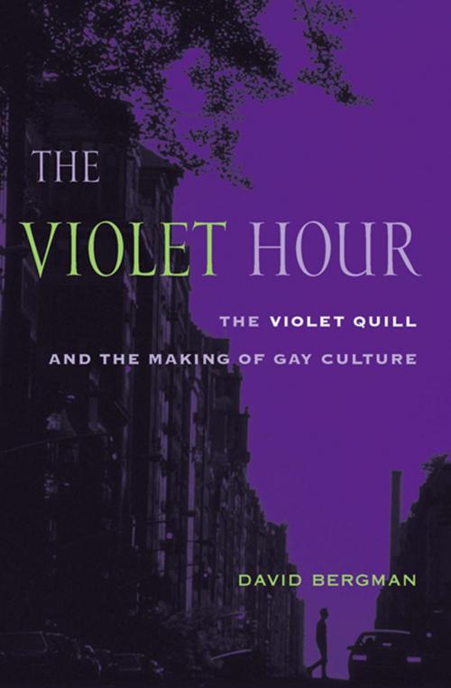Cover of the book The Violet Hour by David Bergman, Columbia University Press