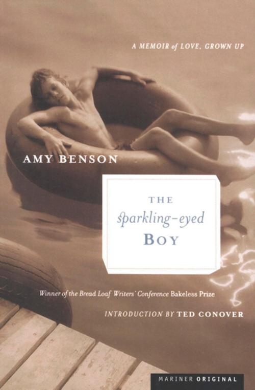 Cover of the book The Sparkling-Eyed Boy by Amy Benson, Houghton Mifflin Harcourt