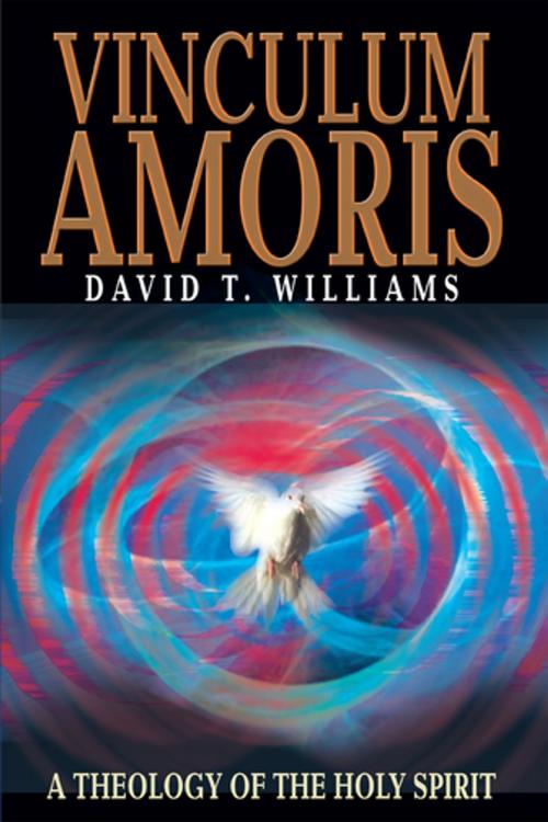 Cover of the book Vinculum Amoris by David T. Williams, iUniverse