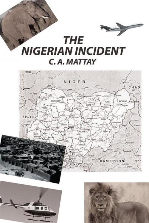 Cover of the book The Nigerian Incident by C. A. Mattay, iUniverse