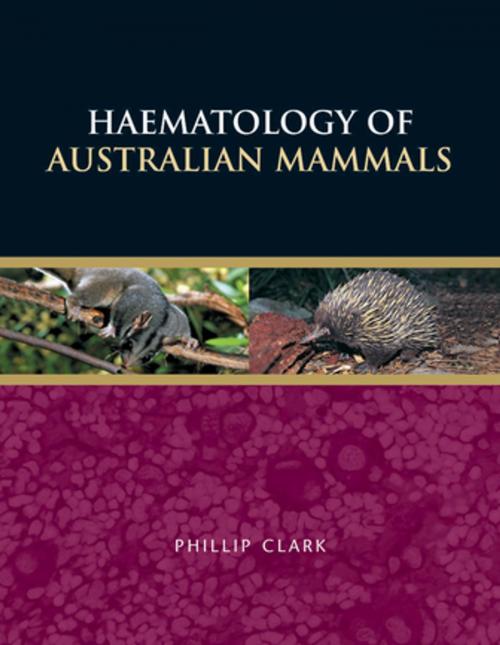Cover of the book Haematology of Australian Mammals by Phillip Clark, CSIRO PUBLISHING