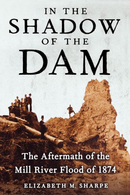 Cover of the book In the Shadow of the Dam by Elizabeth M. Sharpe, Free Press