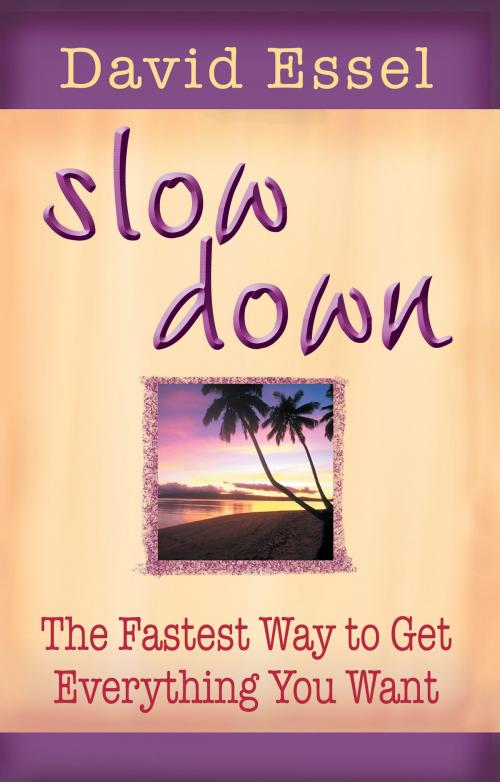 Cover of the book Slow Down by David Essel, Hay House