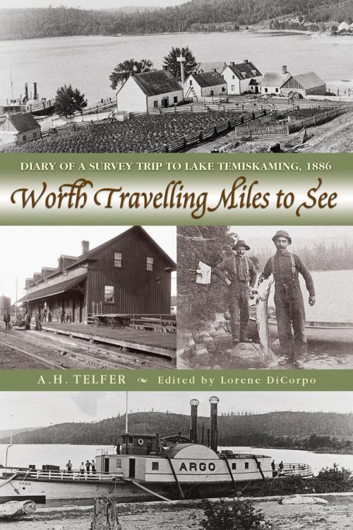 Cover of the book Worth Travelling Miles to See by A.H. Telfer, Dundurn