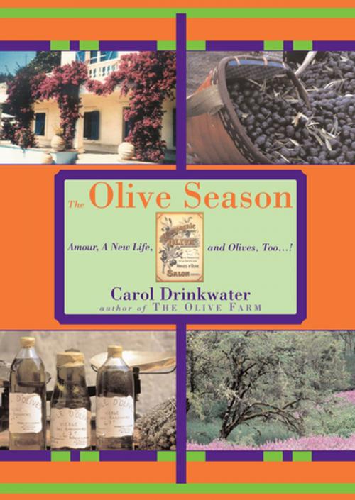 Cover of the book The Olive Season by Carol Drinkwater, ABRAMS (Ignition)