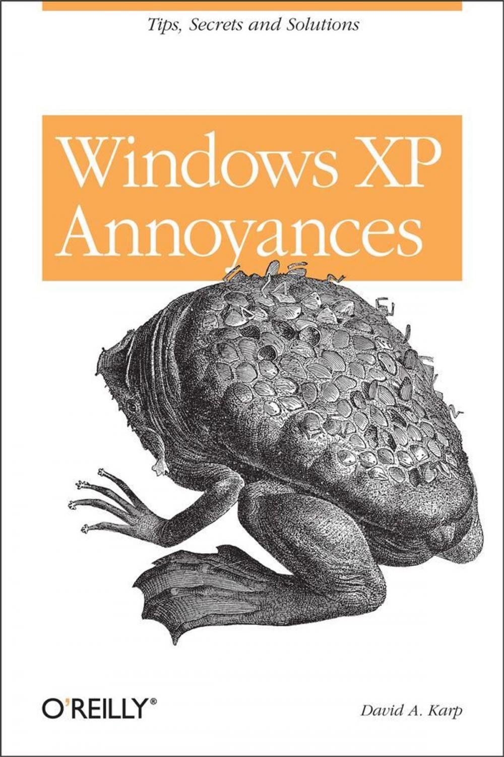 Big bigCover of Windows XP Annoyances for Geeks
