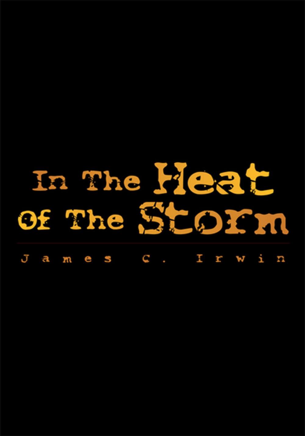 Big bigCover of In the Heat of the Storm