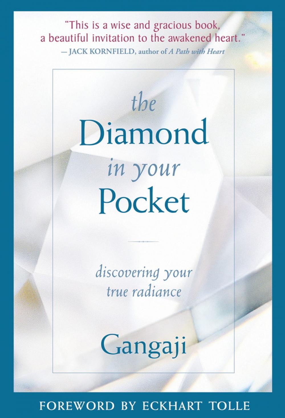 Big bigCover of The Diamond In Your Pocket