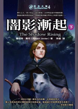 Cover of the book 時光之輪4：闇影漸起（下） by D. J. Ridgway