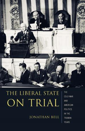 Book cover of The Liberal State on Trial