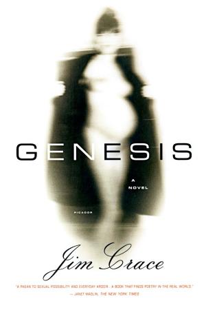Cover of the book Genesis by Peter Schneider