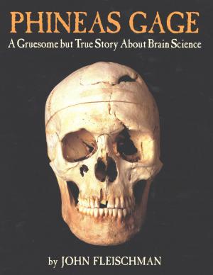 Cover of the book Phineas Gage by Jonathan Moore
