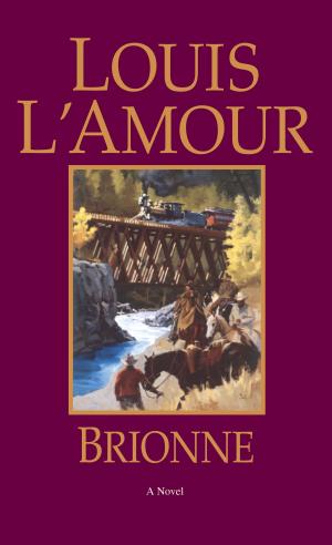 Cover of the book Brionne by Anne Perry