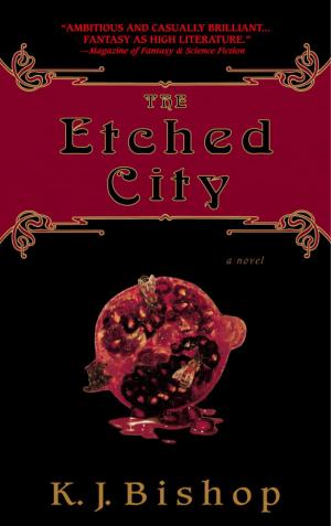 Cover of the book The Etched City by Katharine Kerr