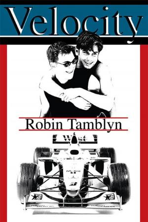Cover of the book Velocity by Robin Tamblyn
