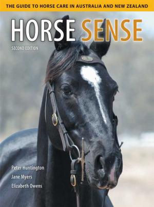 Cover of the book Horse Sense by John Mosig