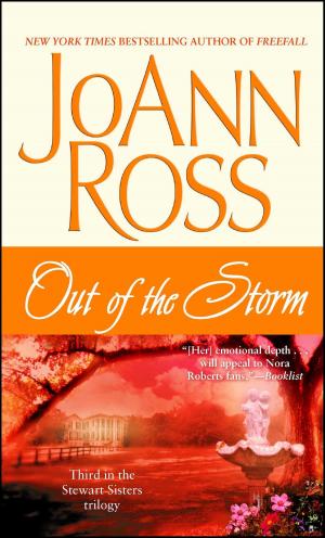 Book cover of Out of the Storm