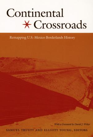 Cover of the book Continental Crossroads by Jean Stefancic, Richard Delgado