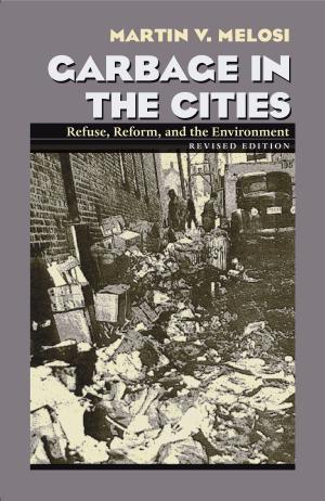 bigCover of the book Garbage In The Cities by 
