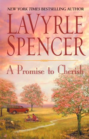 Book cover of A Promise to Cherish