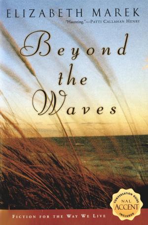 Cover of the book Beyond the Waves by Mark Kurlansky
