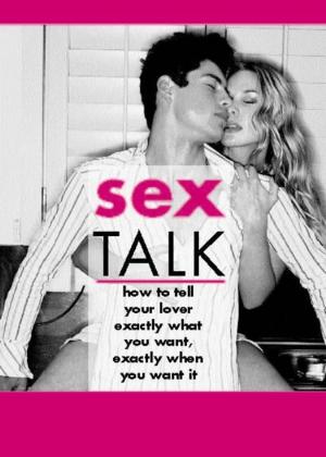 Cover of the book Sex Talk by Amanda Bouchet