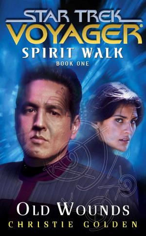 Cover of the book Star Trek: Voyager: Spirit Walk #1: Old Wounds by Julie Shelton