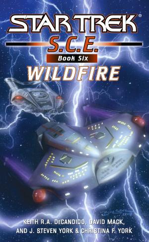 Cover of the book Star Trek: Corps of Engineers: Wildfire by Gina X. Grant
