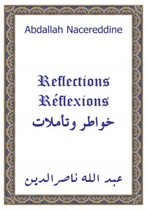 Cover of the book Reflections by Anne B. Gielisse