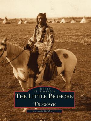 Cover of the book The Little Bighorn, Tiospaye by David B. Fleming, Mary Allison Haynie